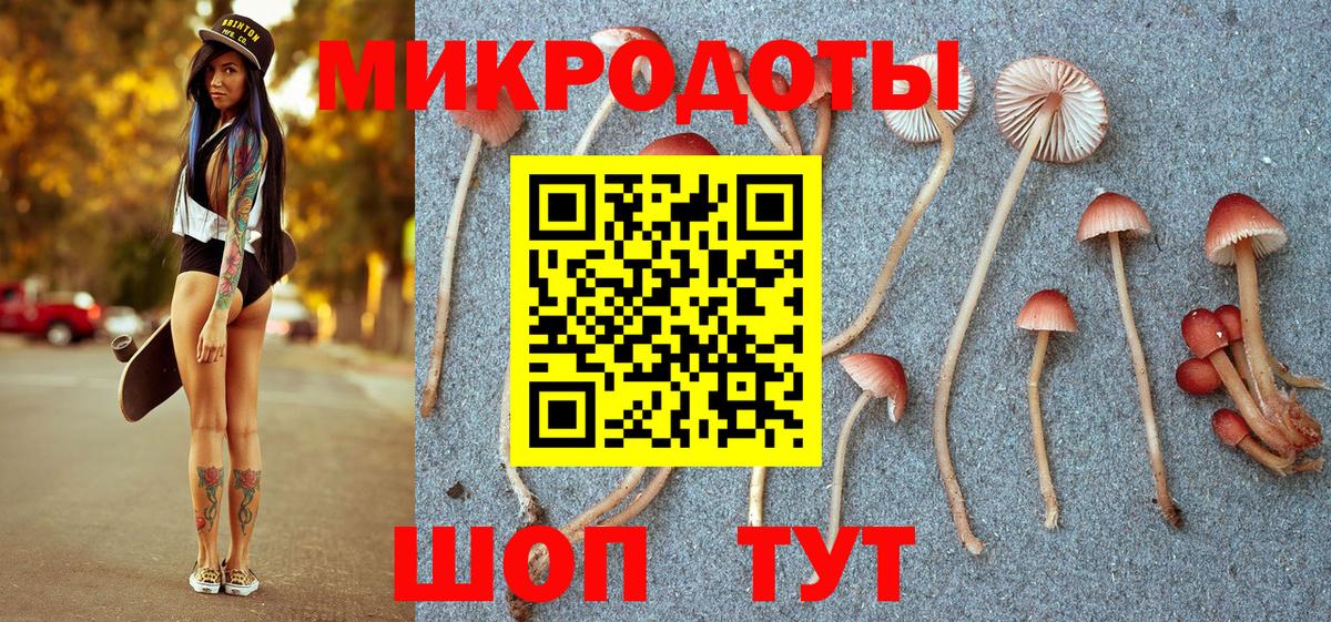 Галлюциногенные грибы Cubensis Ростов Великий