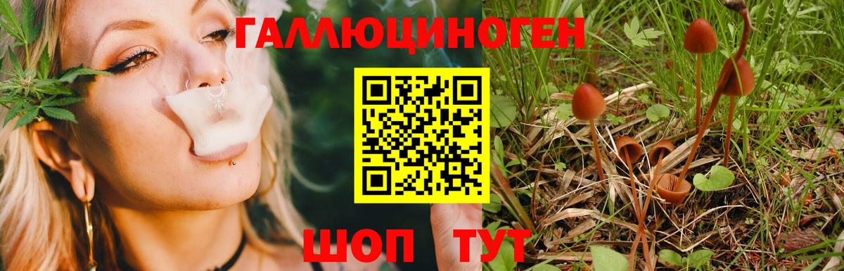 Галлюциногенные грибы GOLDEN TEACHER  Вход с VPN  Ростов Великий 